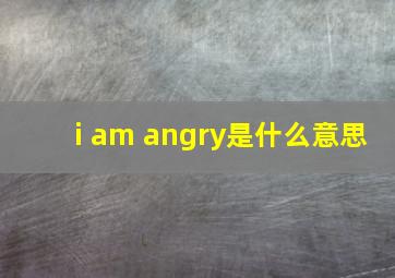 i am angry是什么意思